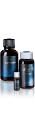 2015 Zen-Xero Smart
